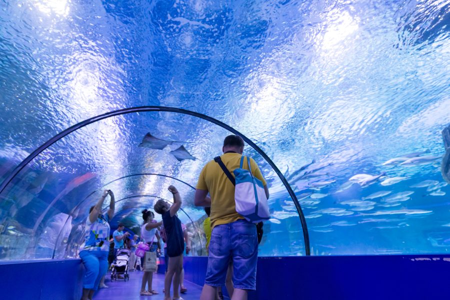 Antalya Tunnel Aquarium
